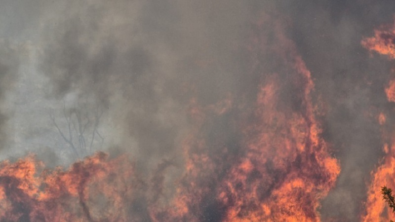 Φωτιά στο Ναύπλιο: Οι πυροσβέστες έκαναν το καθήκον τους