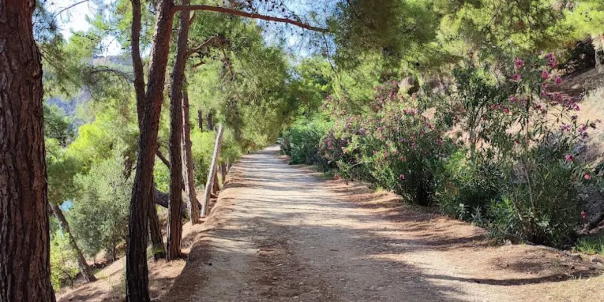 Ναύπλιο: Αφού δεν καθαρίζει ο Δήμος, το κάνουν οι εθελοντές!