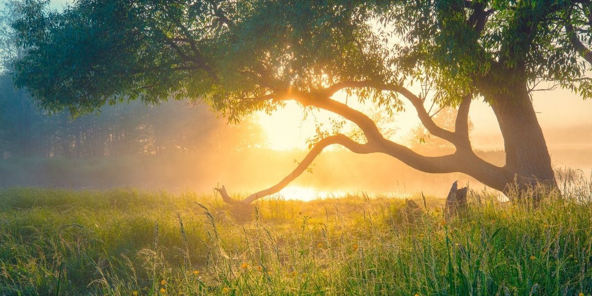 Αλκυονίδες μέρες 2026: Πότε αναμένονται στην Ελλάδα