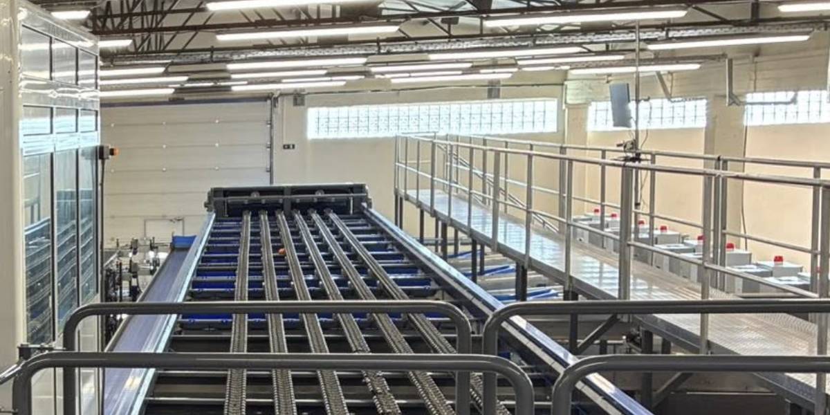 Από το χωράφι στην ΑΙ: Συσκευαστήριο στην Αργολίδα διαλέγει τα εσπεριδοειδή με τεχνητή νοημοσύνη!