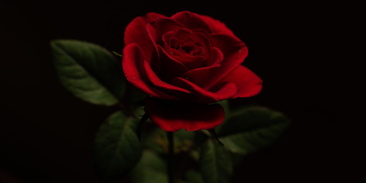 Θλίψη στην Αργολίδα: «Έφυγε» αγαπητός και δραστήριος πρώην Κοινοτάρχης