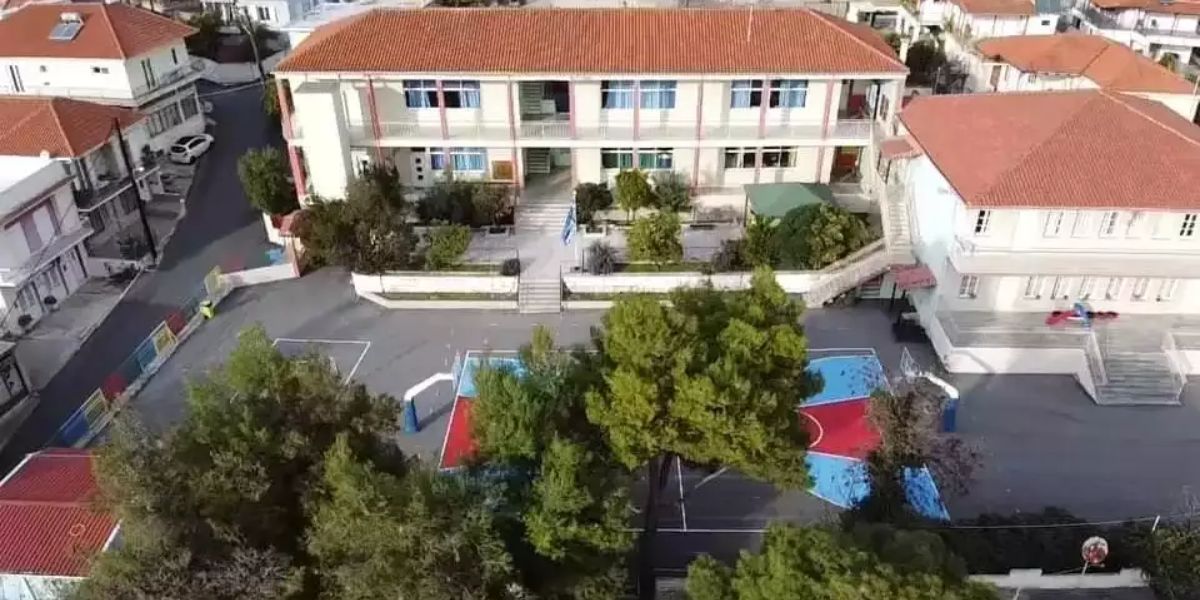 «Κόβουμε πρώτα και εγκρίνουμε μετά»: Καταγγελίες “φωτιά” για τα πεύκα στο σχολείο Λυγουριού