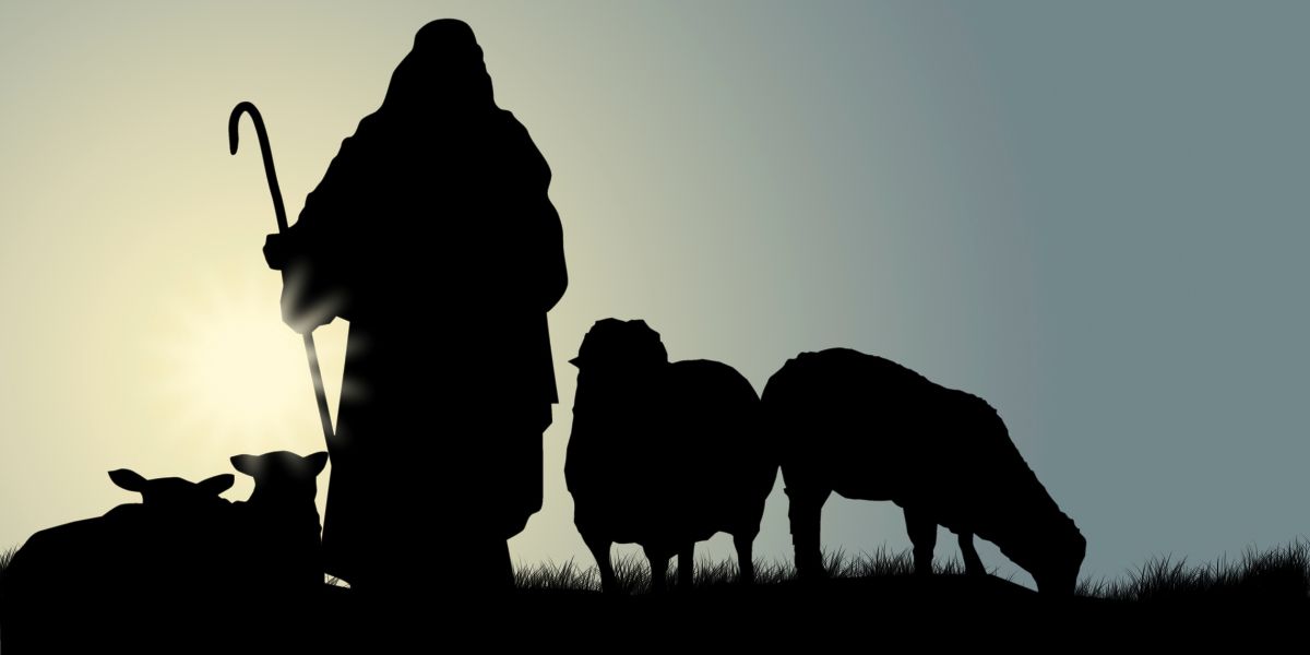 Συναγερμός στην Αργολίδα: Καταρροϊκός πυρετός σε πρόβατα – Ανακοινώθηκε επίσημα – Έκτακτα μέτρα!