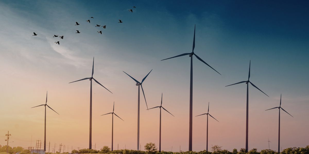 Ερμιονίδα: Σφοδρές αντιδράσεις για νέο αιολικό πάρκο πάνω από τα Δίδυμα