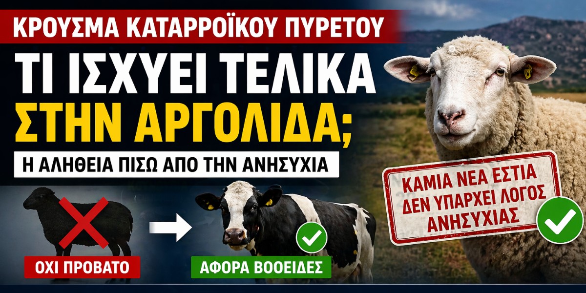 Τι ισχύει τελικά με το “κρούσμα καταρροϊκού πυρετού” στην Αργολίδα – Η αλήθεια πίσω από την ανησυχία